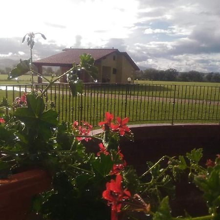Agriturismo Oasi Del Pianettino Campagnatico Luaran gambar