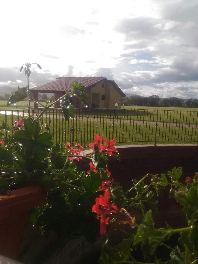 Agriturismo Oasi Del Pianettino Campagnatico Luaran gambar